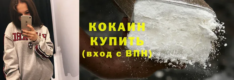 Cocaine Fish Scale  блэк спрут зеркало  Красноармейск 