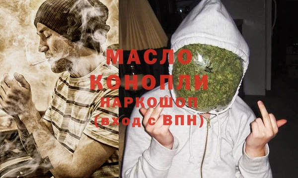 молекула духа Няндома