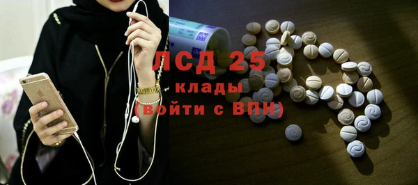 молекула духа Няндома