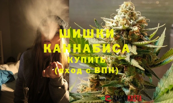 молекула духа Няндома