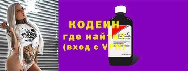 молекула духа Няндома
