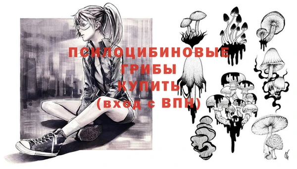 молекула духа Няндома