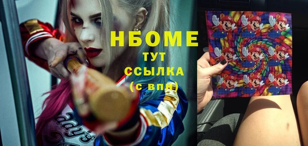 молекула духа Няндома