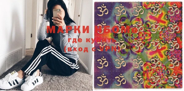 молекула духа Няндома