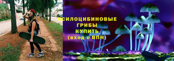 эйфоретик Нязепетровск