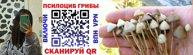 Псилоцибиновые грибы прущие грибы  купить наркоту  Красноармейск 