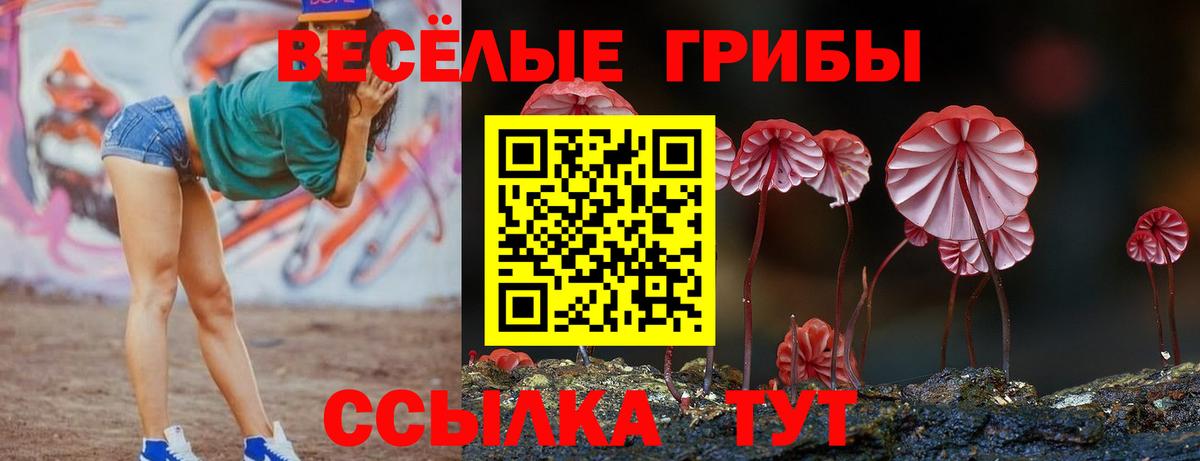 Галлюциногенные грибы Magic Shrooms Красноармейск