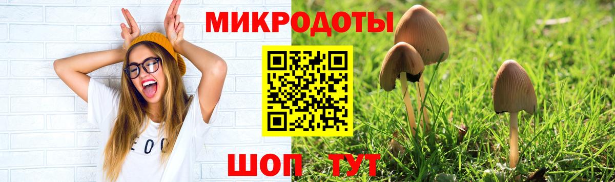магазин    Псилоцибиновые грибы мицелий  Вход с VPN  Красноармейск 